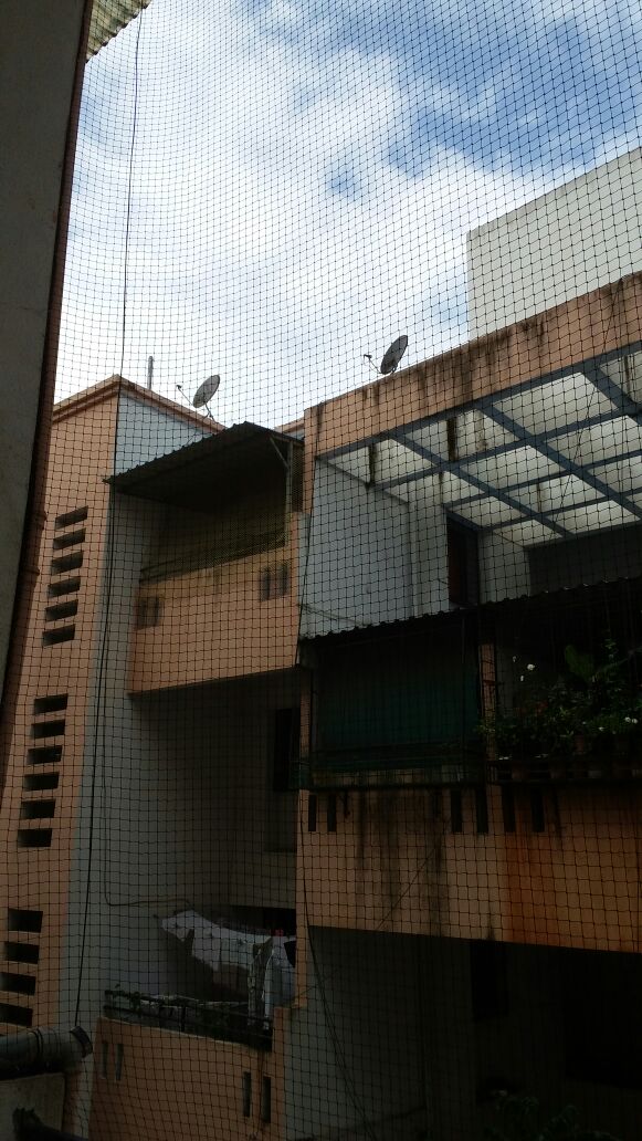 Bird Netting